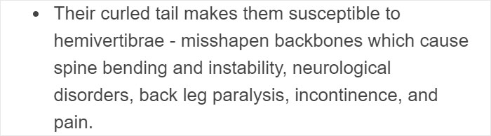 “Pugs Are Not Cute, [They’re] Malformed, Sick Animals That Shouldn’t Exist”: This Tumblr Thread May Change The Way You See Pugs