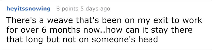 Someone Calls Police About A Dead Dog, Dies From Laughter After They Write Back Someone Calls Police About A Dead Dog, Dies From Laughter After They Write Back