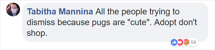 “Pugs Are Not Cute, [They’re] Malformed, Sick Animals That Shouldn’t Exist”: This Tumblr Thread May Change The Way You See Pugs