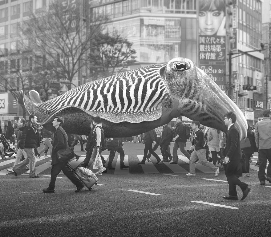 Artist Challenges Logic And Stimulates Creativity With Its Incredible Digital Manipulations