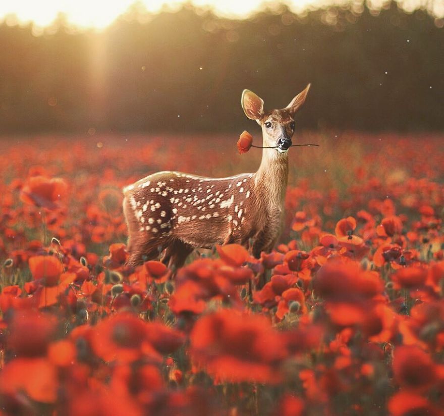 Artist Challenges Logic And Stimulates Creativity With Its Incredible Digital Manipulations