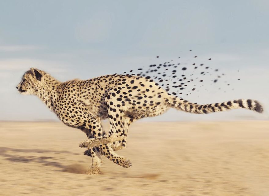 Artist Challenges Logic And Stimulates Creativity With Its Incredible Digital Manipulations