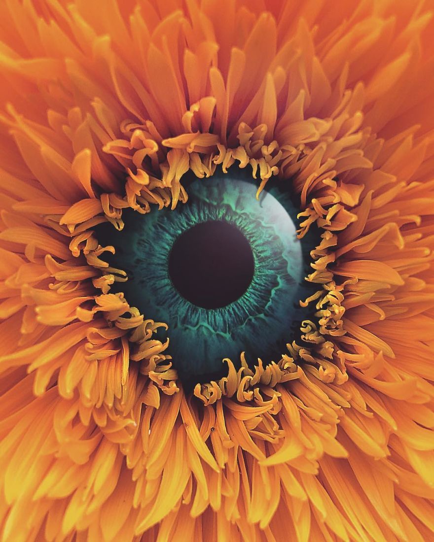 Artist Challenges Logic And Stimulates Creativity With Its Incredible Digital Manipulations