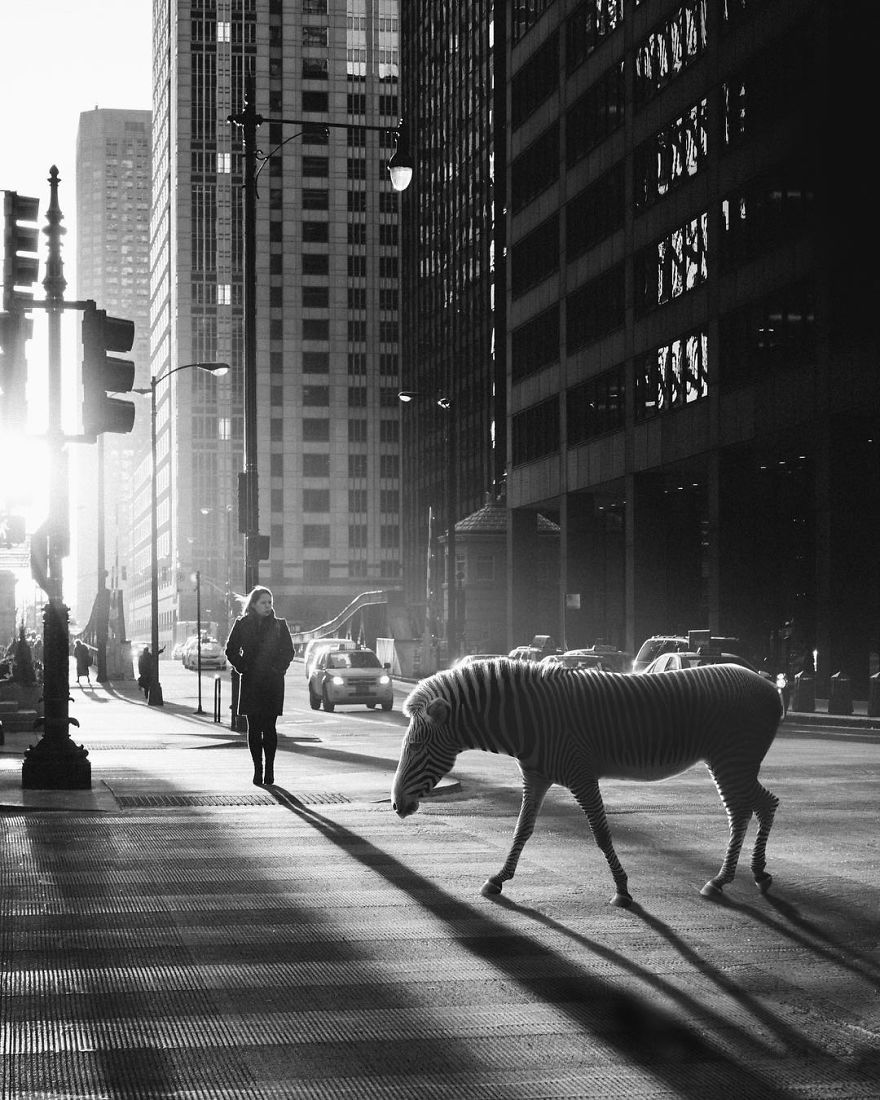 Artist Challenges Logic And Stimulates Creativity With Its Incredible Digital Manipulations