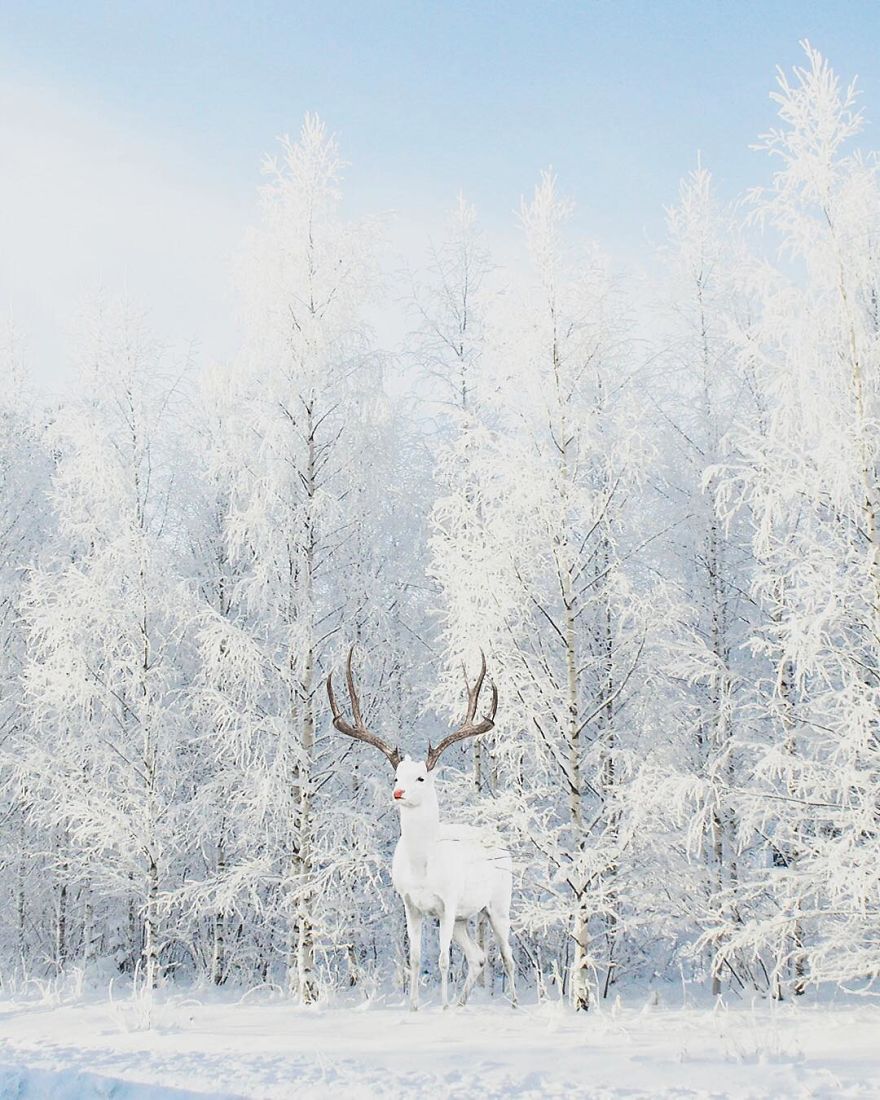 Artist Challenges Logic And Stimulates Creativity With Its Incredible Digital Manipulations