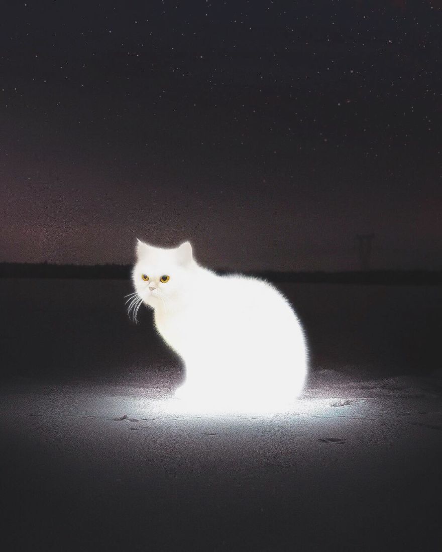 Artist Challenges Logic And Stimulates Creativity With Its Incredible Digital Manipulations