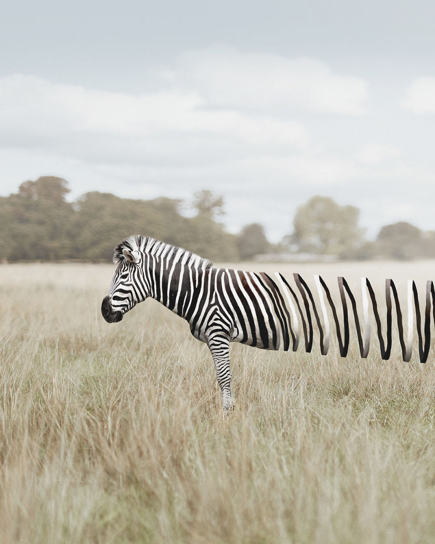 Artist Challenges Logic And Stimulates Creativity With Its Incredible Digital Manipulations