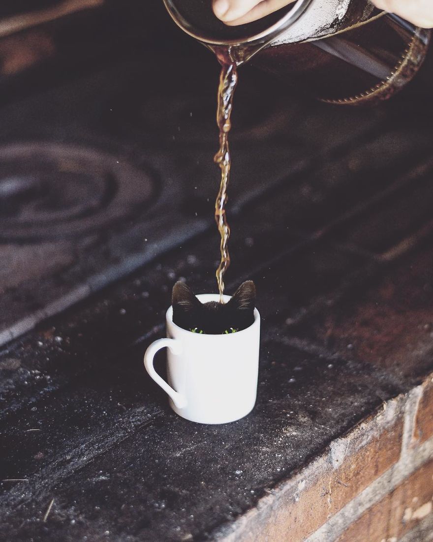 Artist Challenges Logic And Stimulates Creativity With Its Incredible Digital Manipulations