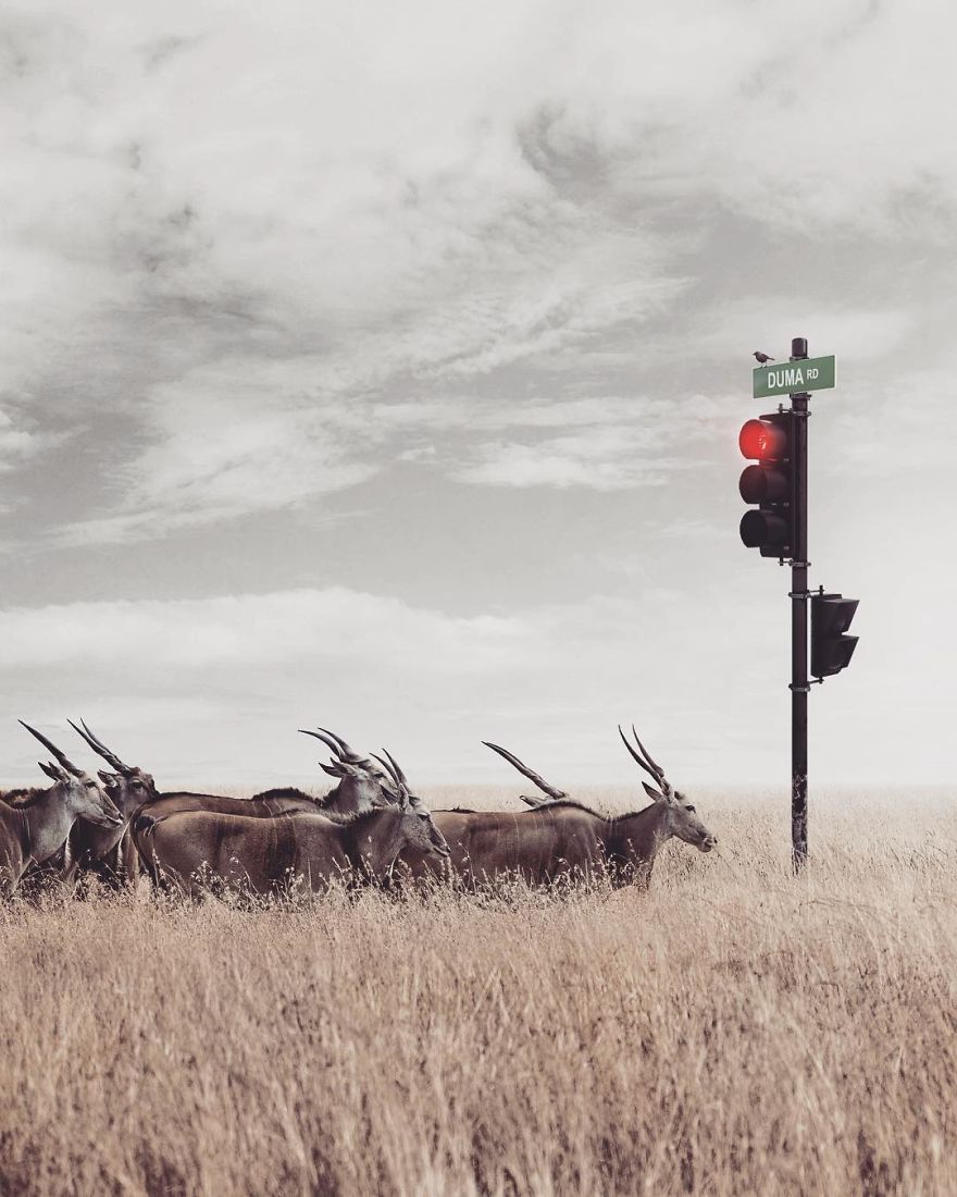 Artist Challenges Logic And Stimulates Creativity With Its Incredible Digital Manipulations