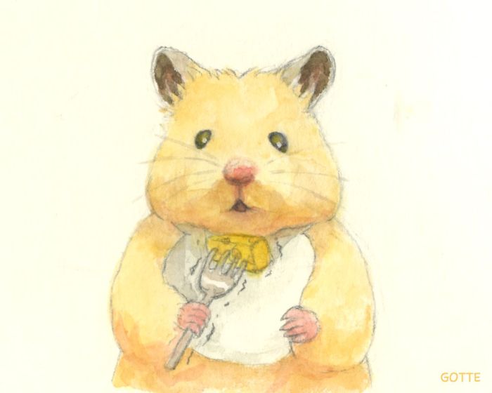 Artist Illustrates The Typical Life Of A Japanese Hamster And The Result Is Very Cute