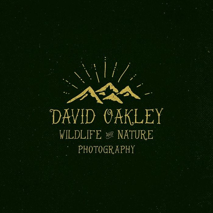 Artist Perfectly Reproduces Freehand Logos