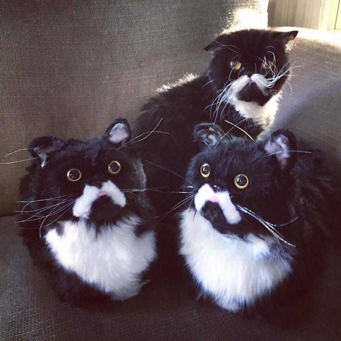 Custom Pet Slippers