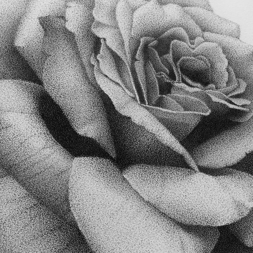I Create Drawings Dot By Dot With A Pen And It Takes Hundreds Of Hours I Create Drawings Dot By Dot With A Pen And It Takes Hundreds Of Hours