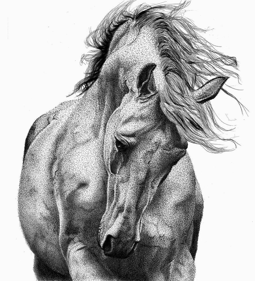 I Create Drawings Dot By Dot With A Pen And It Takes Hundreds Of Hours I Create Drawings Dot By Dot With A Pen And It Takes Hundreds Of Hours