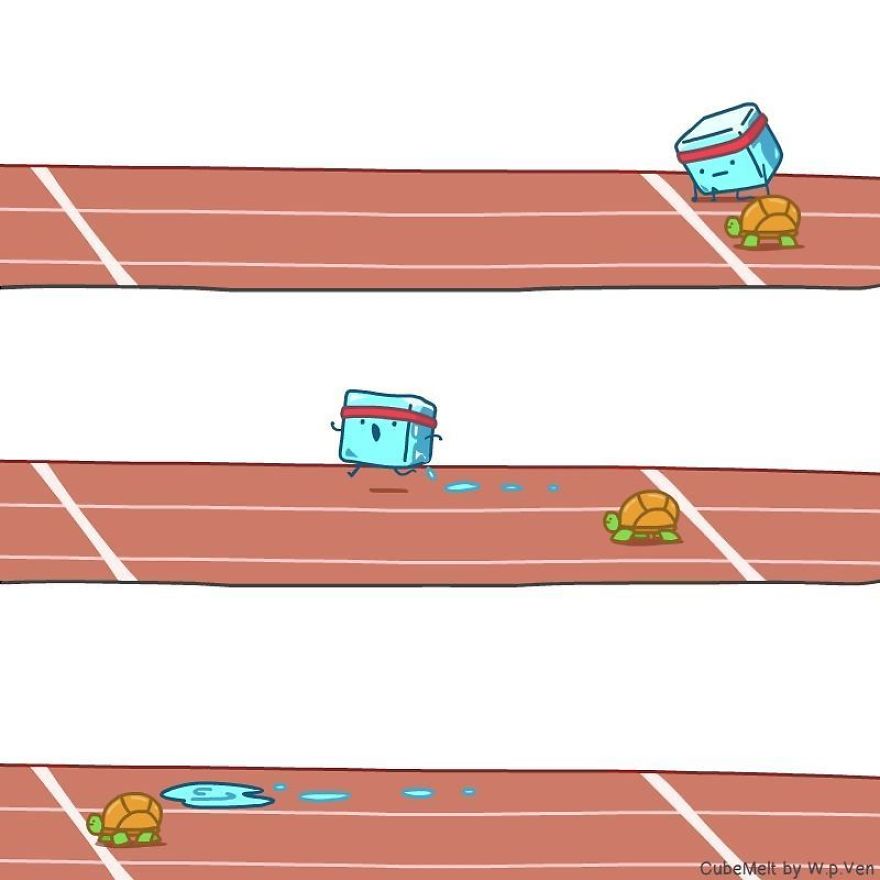 The Tortoise And The Ice Cube