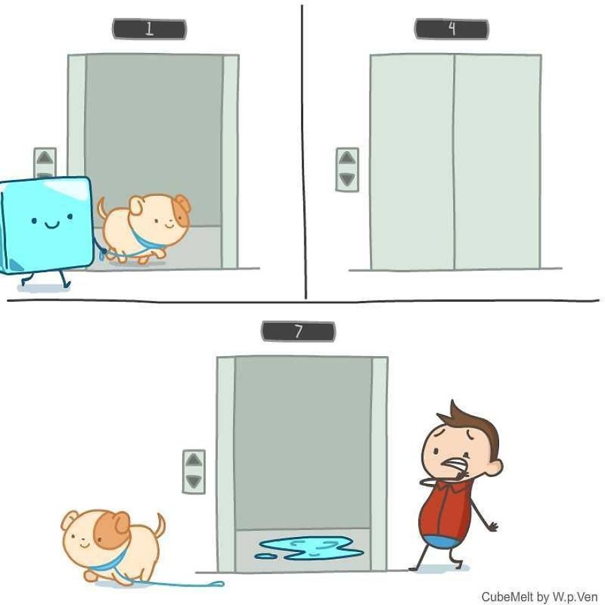 What You See May Not Be The Truth