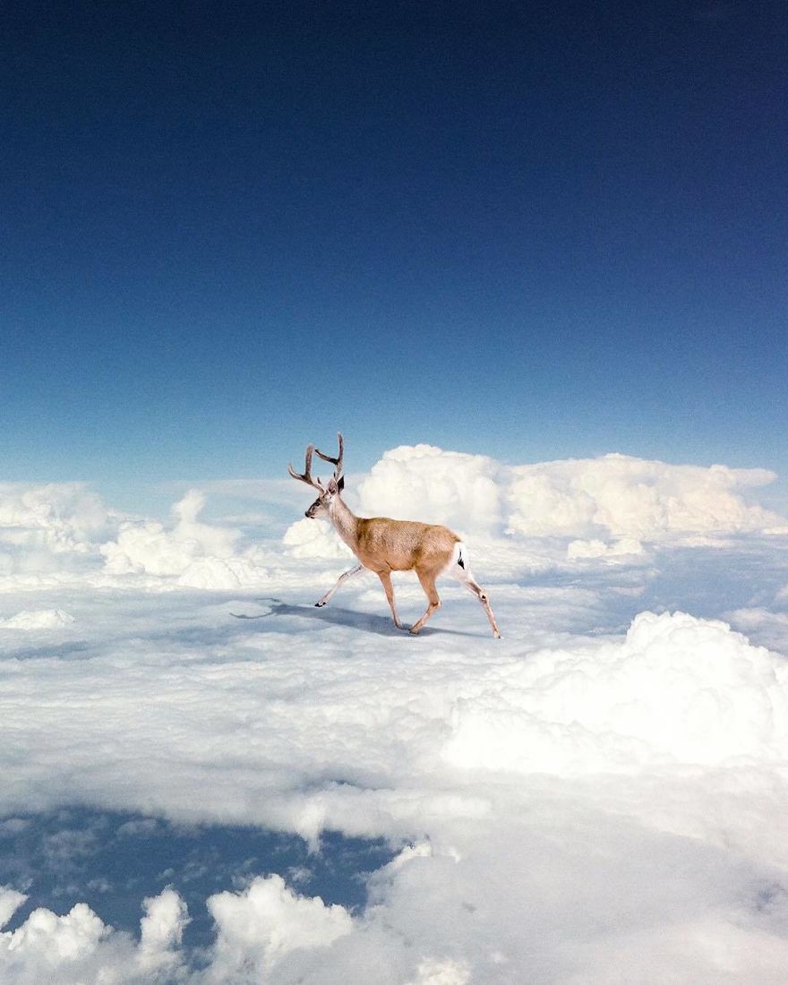 Artist Challenges Logic And Stimulates Creativity With Its Incredible Digital Manipulations