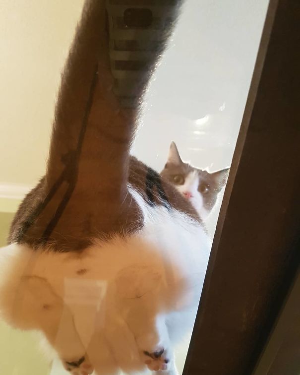 Human If You Post This We Are Going To Have Problems