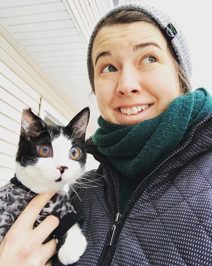 I Adopted A Kitten With Huge 'Glass' Eyes After He Was Found Abandoned On A Porch And He Is Now Our Family Member