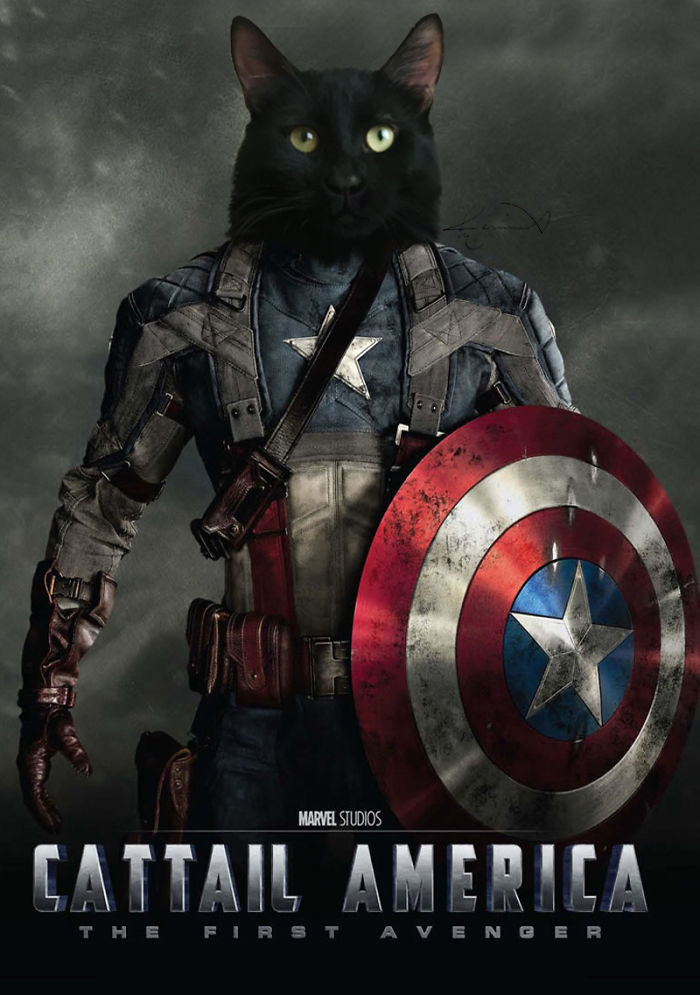 My Cat From Marvel