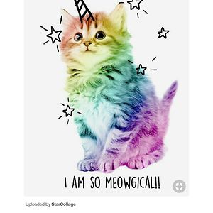 payet_fabienne avatar