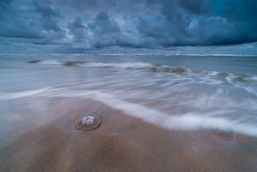 Bloemendaal Aan Zee, The Netherlands