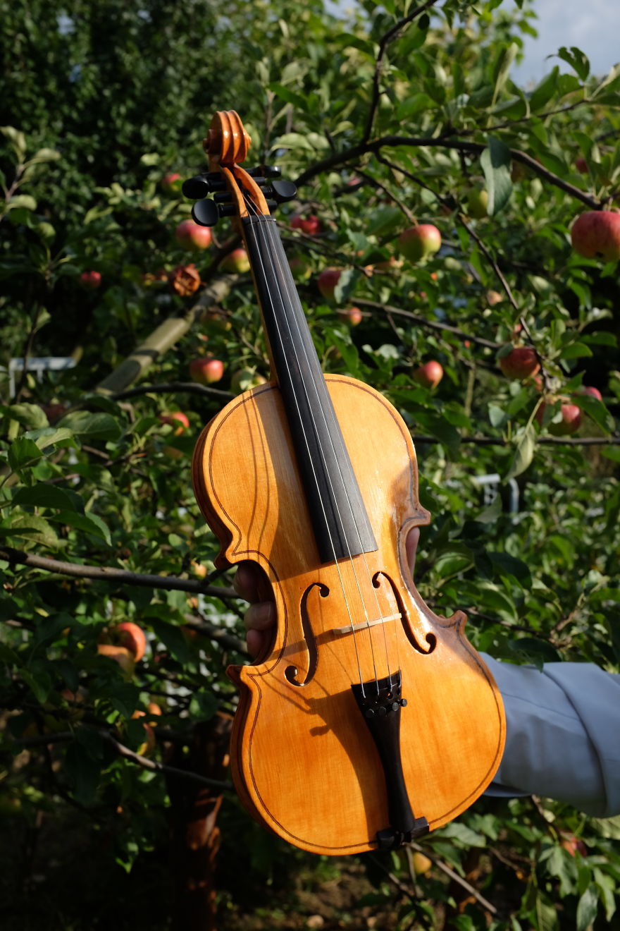 I Spent 3 Years Making A Violin With My Grandfather Without Knowing How I Spent 3 Years Making A Violin With My Grandfather Without Knowing How