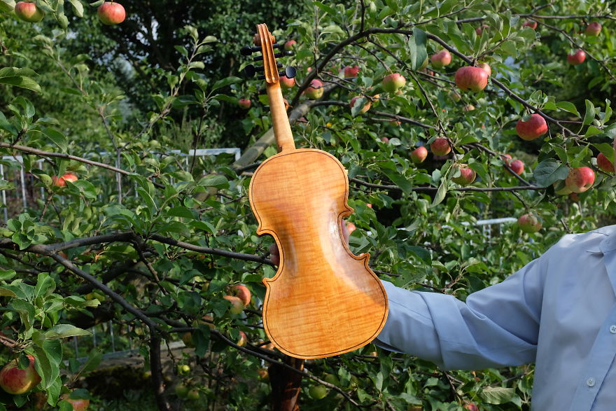 I Spent 3 Years Making A Violin With My Grandfather Without Knowing How I Spent 3 Years Making A Violin With My Grandfather Without Knowing How