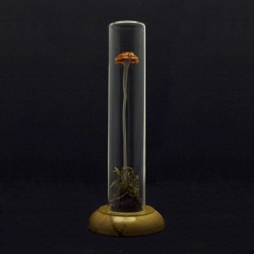 I Make Art Lamps Inspired By Nature I Make Art Lamps Inspired By Nature