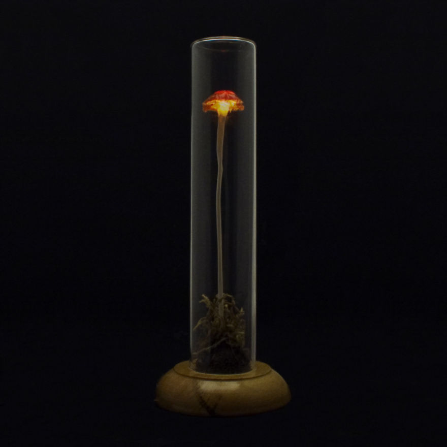 I Make Art Lamps Inspired By Nature I Make Art Lamps Inspired By Nature