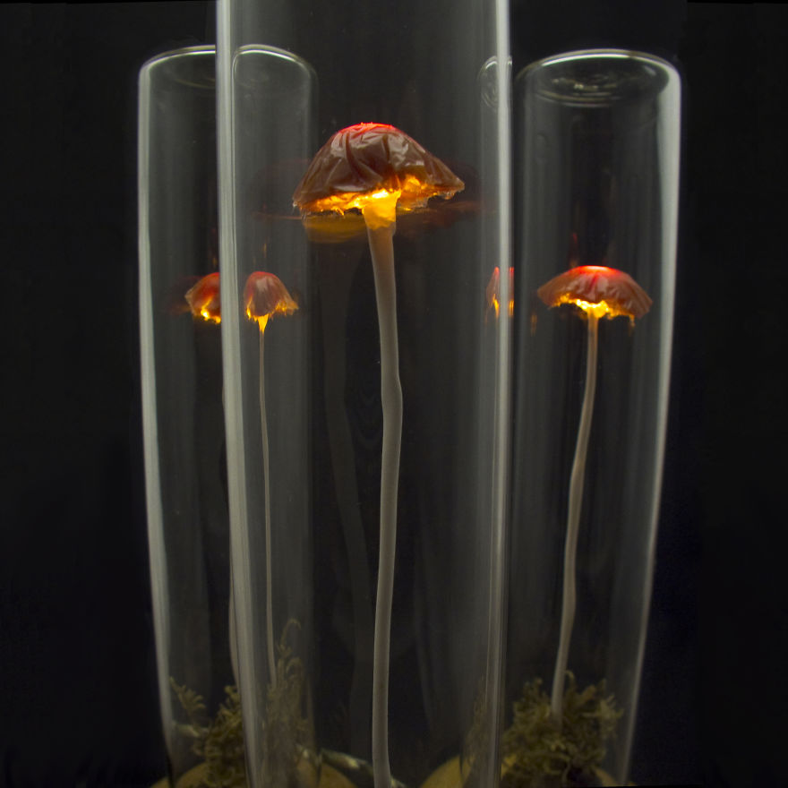 I Make Art Lamps Inspired By Nature