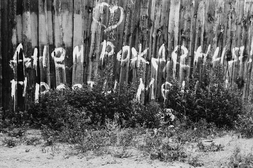 I Travelled To Buryatia Couple Of Years Ago And This Place Is Just Amazing! I Travelled To Buryatia Couple Of Years Ago And This Place Is Just Amazing!