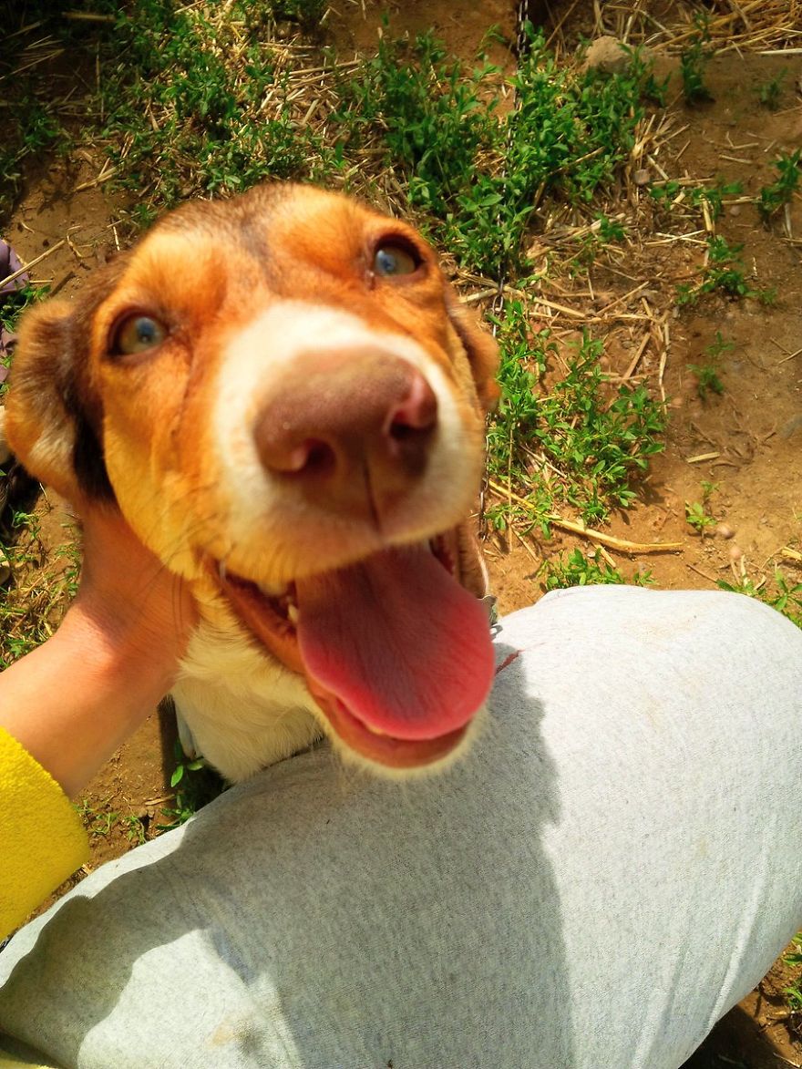 I Found & Rescued These Little Gems On This Day A Year Ago, And That's Been A Life Changer For The Three Of Us I Found & Rescued These Little Gems On This Day A Year Ago, And That's Been A Life Changer For The Three Of Us