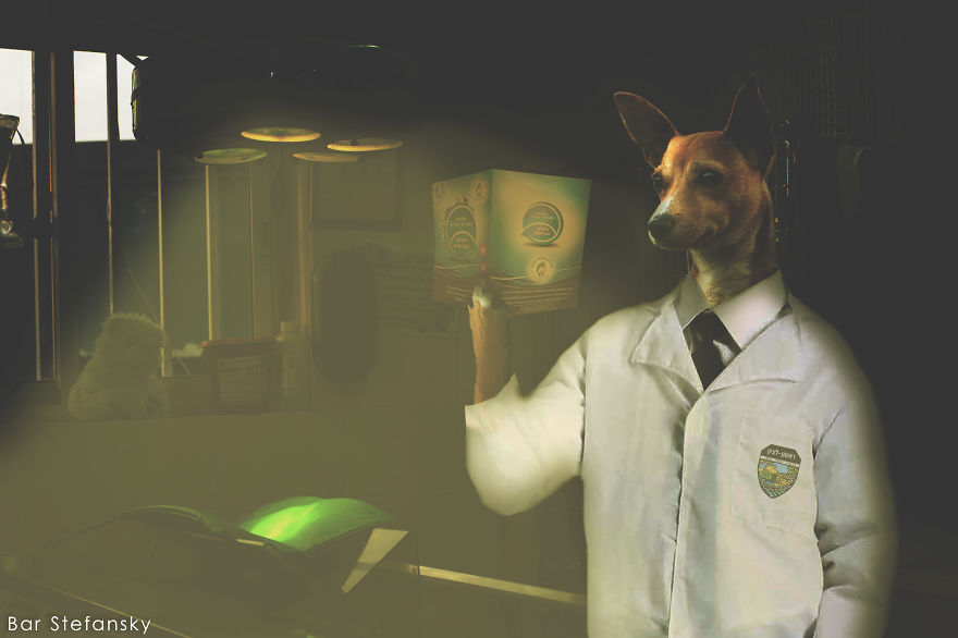 Every Dog Need Home Every Dog Need Home