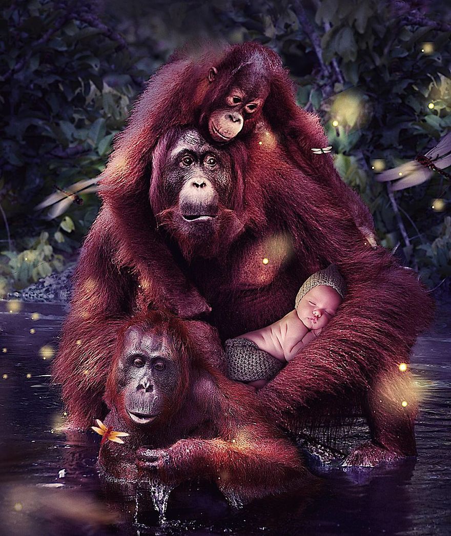 This Visual Artist Uses His Magical Skills To Raise Awareness For Engangered Species