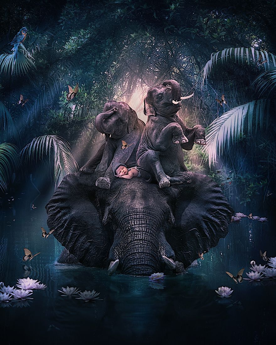 This Visual Artist Uses His Magical Skills To Raise Awareness For Engangered Species