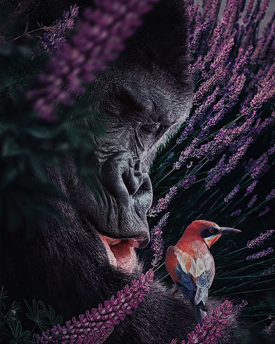 This Visual Artist Uses His Magical Skills To Raise Awareness For Engangered Species