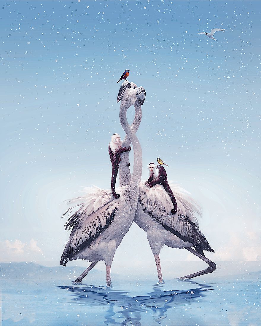 This Visual Artist Uses His Magical Skills To Raise Awareness For Engangered Species