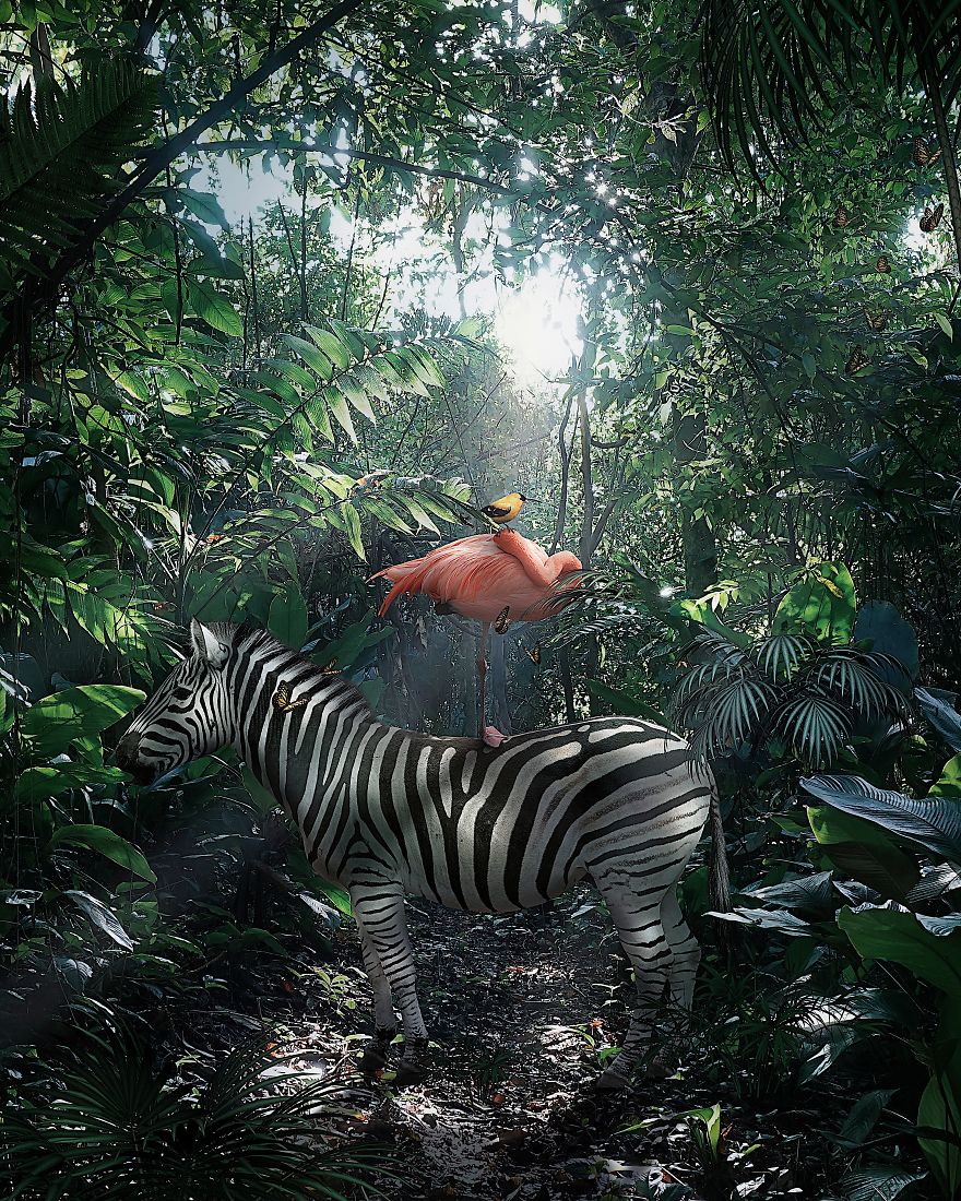 This Visual Artist Uses His Magical Skills To Raise Awareness For Engangered Species