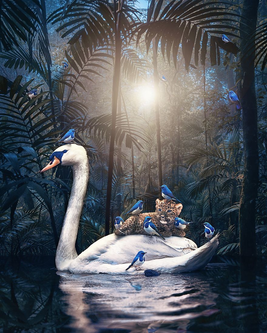 This Visual Artist Uses His Magical Skills To Raise Awareness For Engangered Species