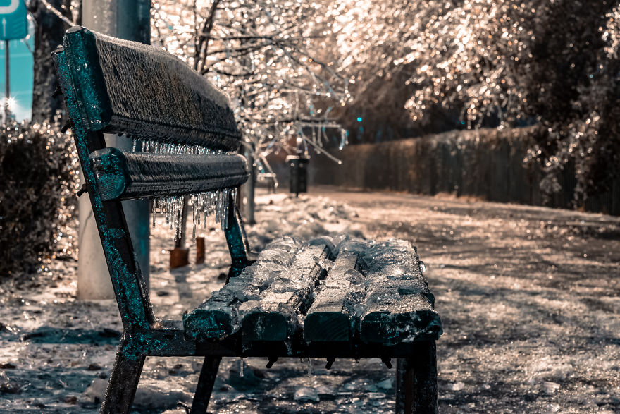 I Woke Up After A Night Of Freezing Rain To Find The Whole City Of Bucharest, Romania, Frozen And Damaged