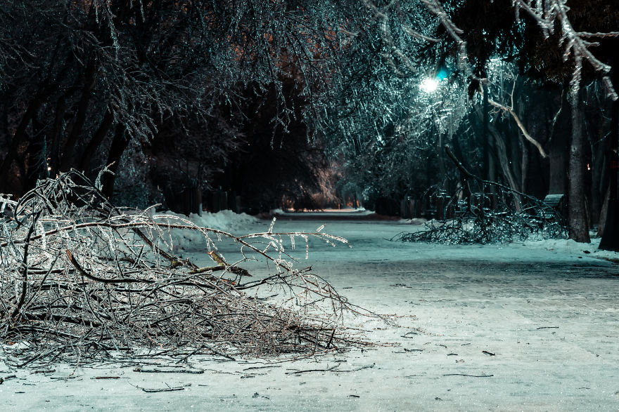 I Woke Up After A Night Of Freezing Rain To Find The Whole City Of Bucharest, Romania, Frozen And Damaged I Woke Up After A Night Of Freezing Rain To Find The Whole City Of Bucharest, Romania, Frozen And Damaged