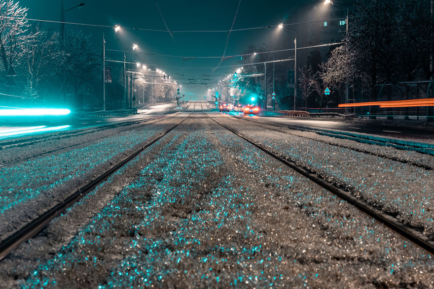 I Woke Up After A Night Of Freezing Rain To Find The Whole City Of Bucharest, Romania, Frozen And Damaged I Woke Up After A Night Of Freezing Rain To Find The Whole City Of Bucharest, Romania, Frozen And Damaged