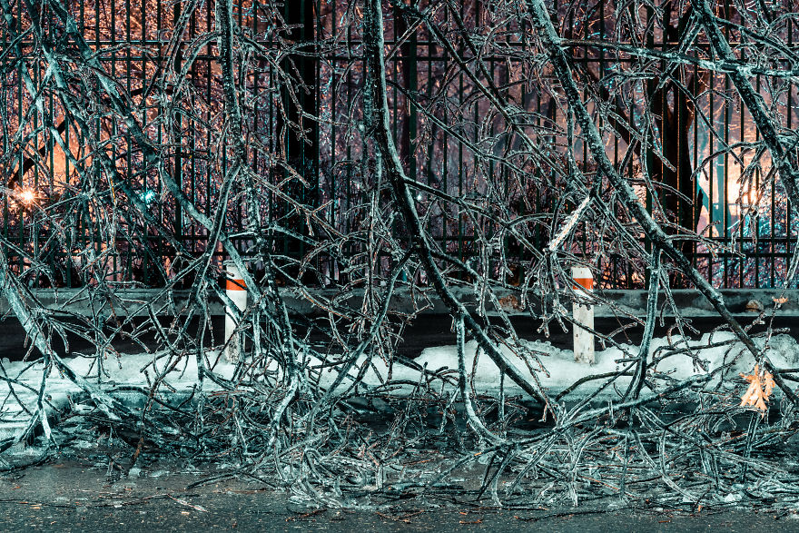 I Woke Up After A Night Of Freezing Rain To Find The Whole City Of Bucharest, Romania, Frozen And Damaged