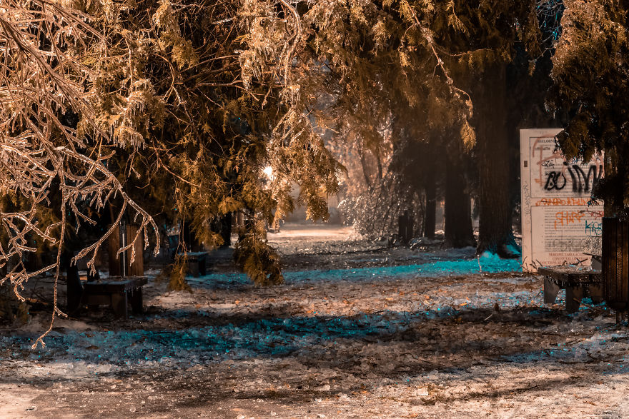 I Woke Up After A Night Of Freezing Rain To Find The Whole City Of Bucharest, Romania, Frozen And Damaged