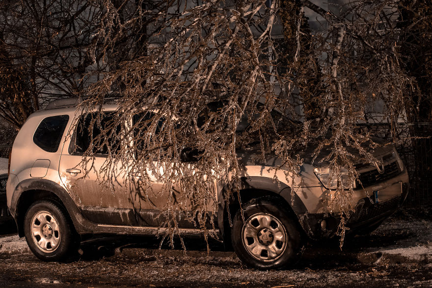 I Woke Up After A Night Of Freezing Rain To Find The Whole City Of Bucharest, Romania, Frozen And Damaged