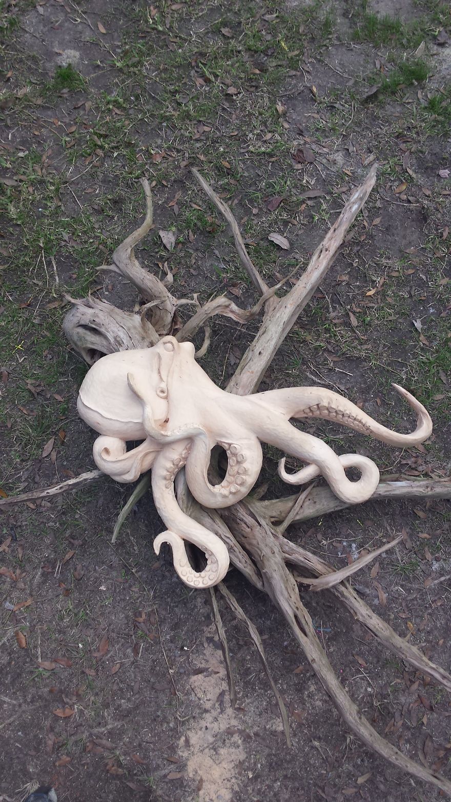 Hand Carved Octopus On Driftwood