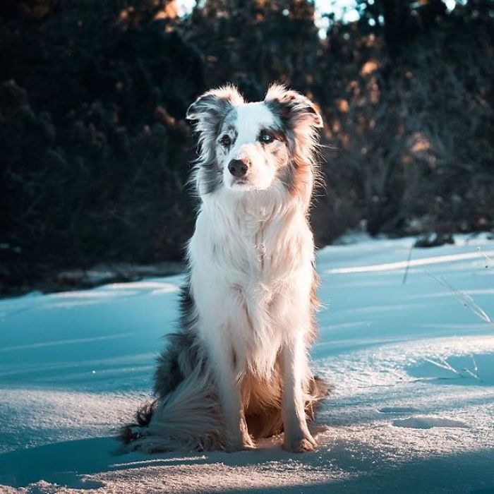 Can You Guess When Fusion Birthday Is?