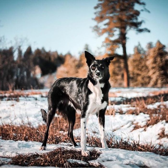 We Hiked Up Our Beautiful Ski Area This Morning