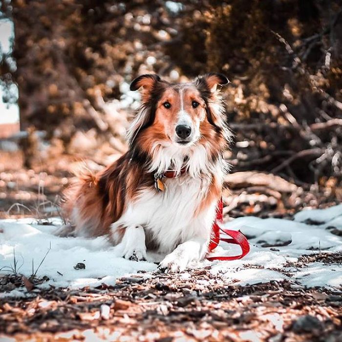 She Blends In With The Environment Perfectly